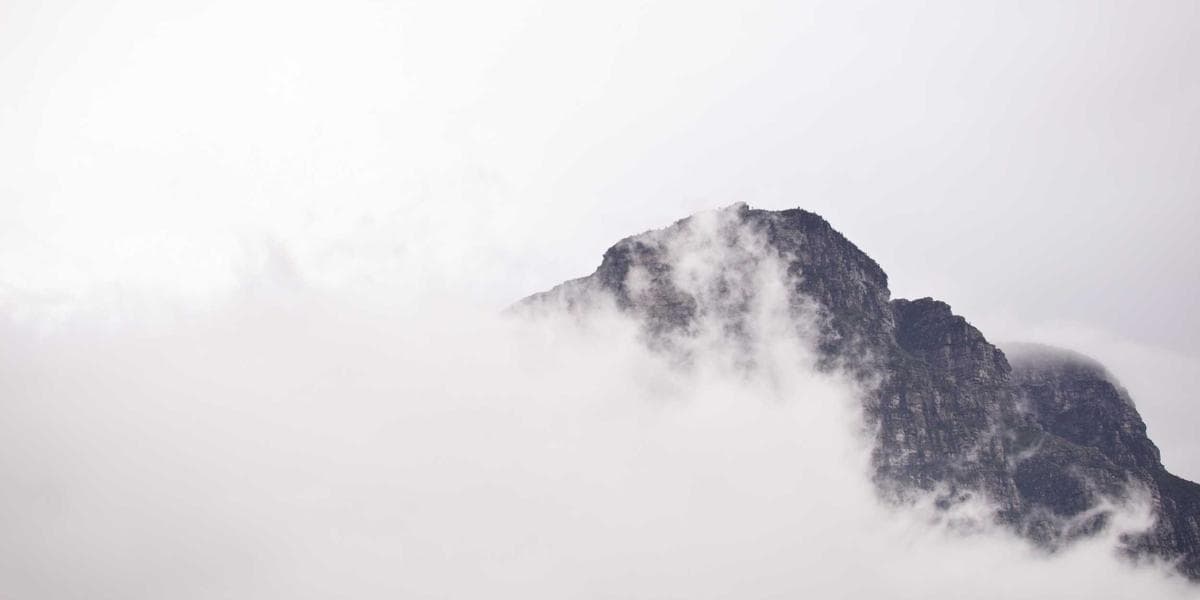 HackTopus'FE